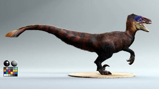 Creating Creature Fur Using XGen & Arnold