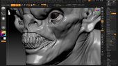 Introduction to ZBrush 2024