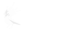 CD Projekt RED 